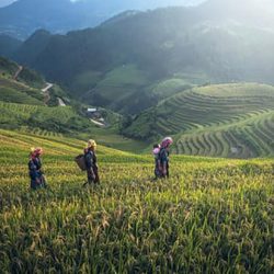 Farming - Agricultural Well Drill - maintain crops water well drilling