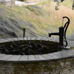 Residential Shallow Well Pump
